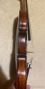 Viola-39 - 3