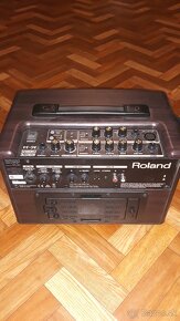 Roland Acoustic Chorus AC-33 RW - 3