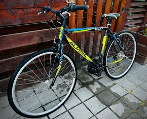 Bicykel Kellys Alpina ECO C05 - 3