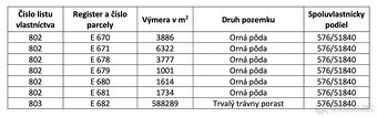 Ladomirová – 6.740 m2 LES NA PREDAJ - 3