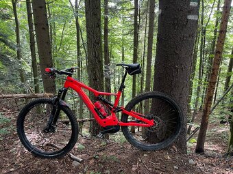 SPECIALIZED TURBO LEVO - 3