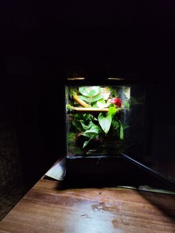 Terarium Exo terra - 3