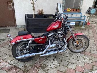 Harley Davidson sportster 1200 - 3