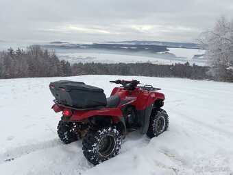 Kawasaki brute force 650 - 3