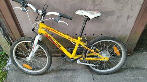 Detský bicykel DEMA 20 - 3