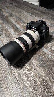 Canon EOS 90D +Canon ZOOM LENS EF 70-300mm 1:4-5.6 L IS USM - 3