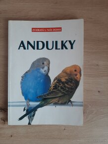 Detektívne príbehy otca Browna a Andulky - 3