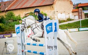 Sportovní pony kategorie B - 3