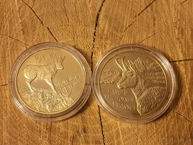 5 eurové Slovenske mince Včela medonosná  Vlk D - 3