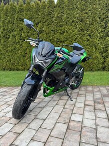 Kawasaki Z300 - 3