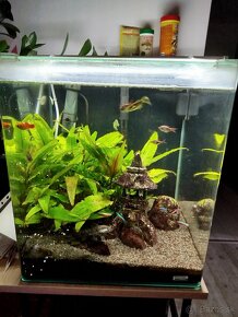 Predam akvarium - 3