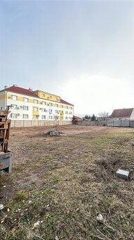 Ponúkame služby - Čistenie, pozemkov, poval, pivnic… - 3