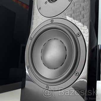 Dynaudio Focus 20 XD - 3