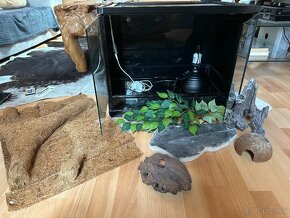 Terarium pre plazy - 3