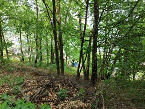 Pozemok, Domaša-Bžany-Tíšava na výstavbu chaty - 3