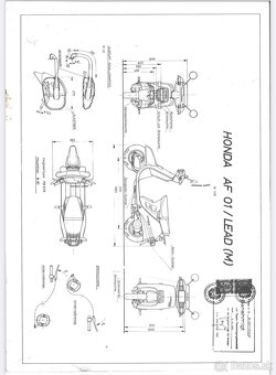 Honda Lead - 3