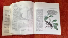 Atlas liečivých rastlín a lesných plodov - rok 1977 - 3