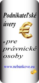 Finančné služby pre podnikateľov - 3