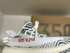 Yeezy zebra - 3