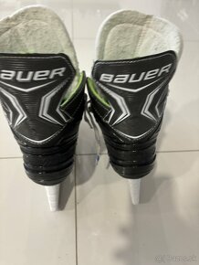 Bauer korcule XLS - 3