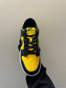 Nike Dunk Low Michigan - 3