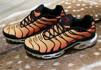 Nike Air Max Plus Sunset (OG) - 3