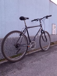 Horský bicykel Dema Ecco 1.0  r.v. 2019 - 3