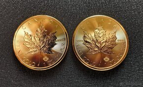 Investičné zlato - Zlatá minca Canadian Maple Leaf 1 oz 2020 - 3