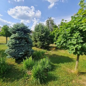 VÝRAZNE ZNÍŽENÁ CENA LUXUSNÝ APARTMÁNOVÝ DOM 350 M2 - 3