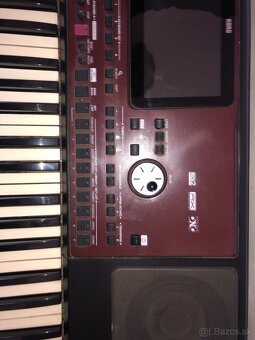 Predam alebo vimenin korg pa700 - 3