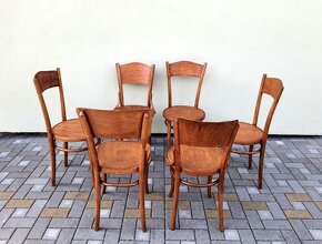 Ohýbané bukové stoličky THONET po renovaci - 3