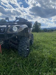 Yamaha grizzly 660 - 3