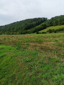 Predám pozemok v k.ú. Dolný Lieskov - 3