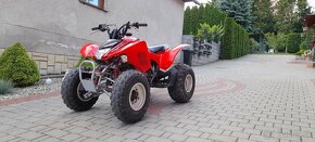 Honda Trx 250 2009 - 3