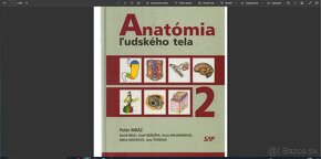 PDF učebnice pre 1. ročník LFUK (s možnosťou vyhľadávania) - 3