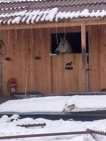 Ponúkam ustajnenie v peknom prostredí. - 3