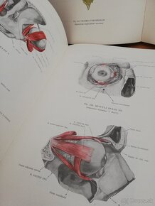 Atlas anatómie človeka 3 časti - 3