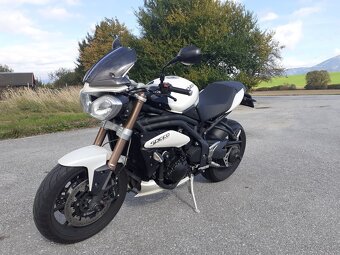 Triumph speed triple - 3