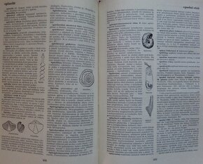 Naučný geologický slovník II. díl N-Ž - 3