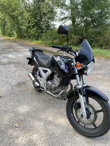 Honda 250 cbf - 3