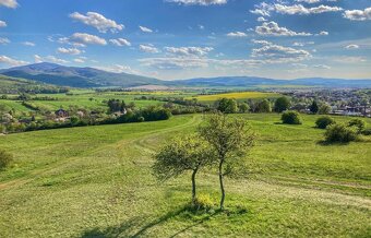 Trenčianska Turná – 5.000 m2 ORNÁ PÔDA podiel 1/1 – Predaj - 3