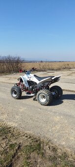 Yamaha Raptor 350 2007 - 3