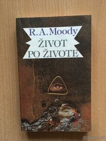 Kvety zla, John Irving, Kirké, Život po živote, Lidl - 3