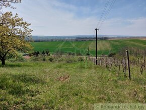 Rozľahlý pozemok na samote vhodný na stavbu blízko vinársk - 3