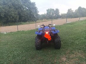 Yamaha grizzly 660 - 3