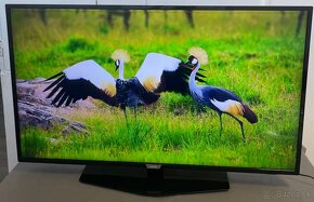 Smart tv Philips 50PUS6162/12-(126cm)-4K - 3