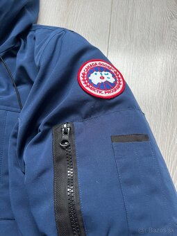 Canada goose - 3