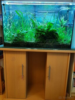 Akvarium 120l - 3