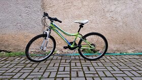 24 palcový bicykel Harry - 3