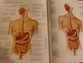 ATLAS ĽIDSKÉHO TĚLA - 3